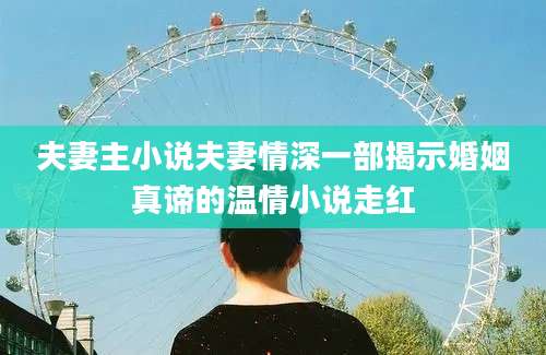 夫妻主小说夫妻情深一部揭示婚姻真谛的温情小说走红