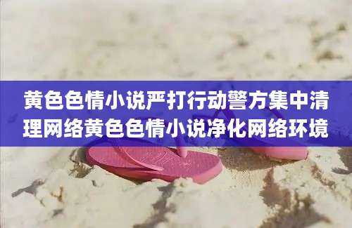 黄色色情小说严打行动警方集中清理网络黄色色情小说净化网络环境