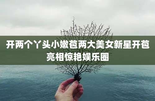 开两个丫头小嫩苞两大美女新星开苞亮相惊艳娱乐圈