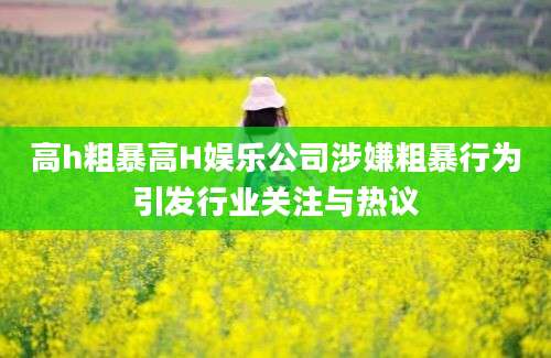 高h粗暴高H娱乐公司涉嫌粗暴行为引发行业关注与热议