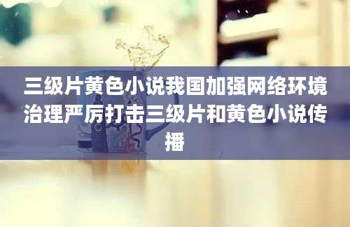 三级片黄色小说我国加强网络环境治理严厉打击三级片和黄色小说传播