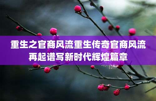 重生之官商风流重生传奇官商风流再起谱写新时代辉煌篇章