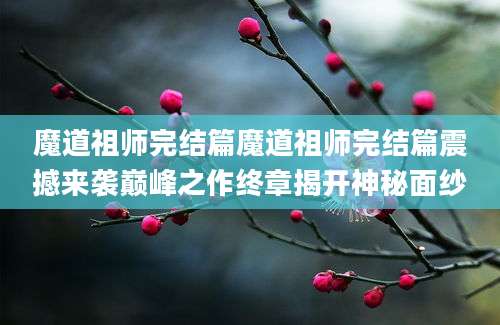 魔道祖师完结篇魔道祖师完结篇震撼来袭巅峰之作终章揭开神秘面纱