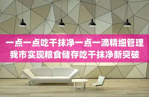 一点一点吃干抹净一点一滴精细管理我市实现粮食储存吃干抹净新突破