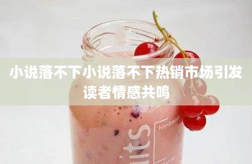 小说落不下小说落不下热销市场引发读者情感共鸣