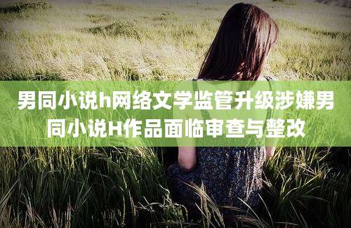 男同小说h网络文学监管升级涉嫌男同小说H作品面临审查与整改