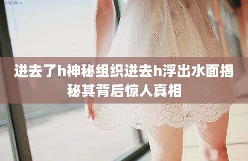 进去了h神秘组织进去h浮出水面揭秘其背后惊人真相