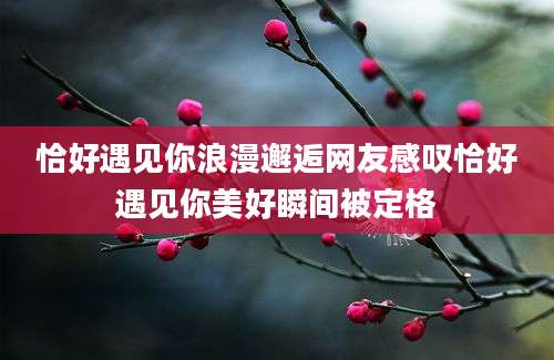恰好遇见你浪漫邂逅网友感叹恰好遇见你美好瞬间被定格