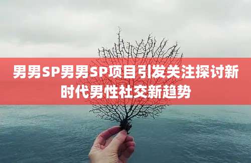 男男SP男男SP项目引发关注探讨新时代男性社交新趋势