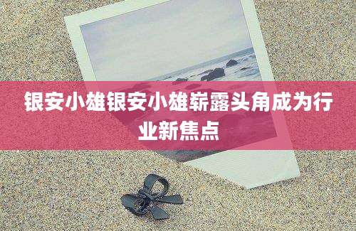 银安小雄银安小雄崭露头角成为行业新焦点