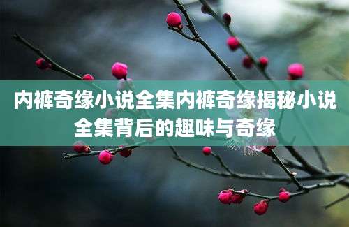 内裤奇缘小说全集内裤奇缘揭秘小说全集背后的趣味与奇缘