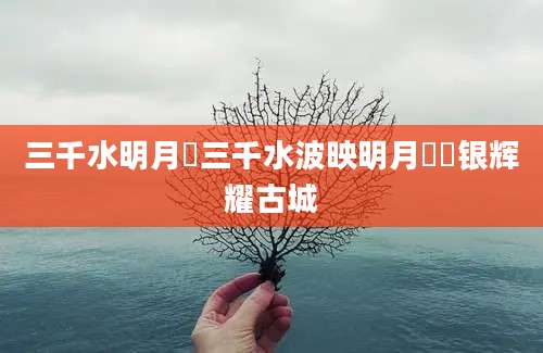 三千水明月珰三千水波映明月珰珰银辉耀古城