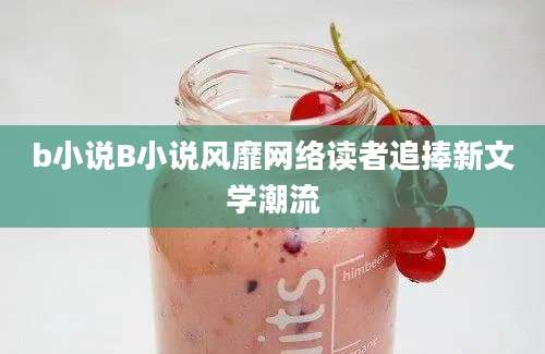 b小说B小说风靡网络读者追捧新文学潮流