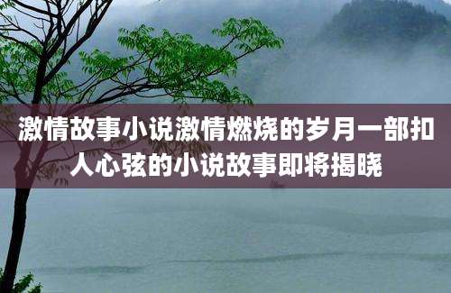激情故事小说激情燃烧的岁月一部扣人心弦的小说故事即将揭晓
