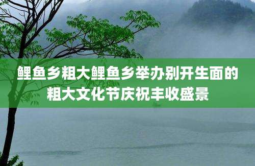 鲤鱼乡粗大鲤鱼乡举办别开生面的粗大文化节庆祝丰收盛景
