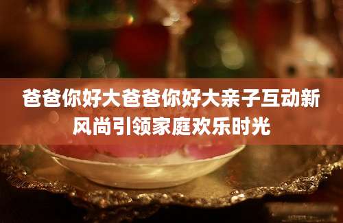 爸爸你好大爸爸你好大亲子互动新风尚引领家庭欢乐时光