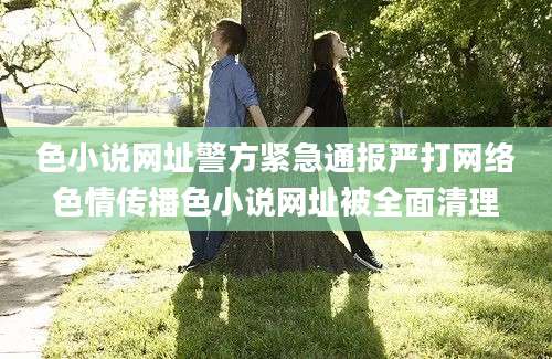 色小说网址警方紧急通报严打网络色情传播色小说网址被全面清理
