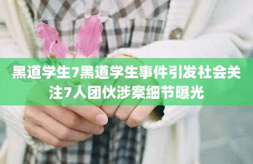 黑道学生7黑道学生事件引发社会关注7人团伙涉案细节曝光