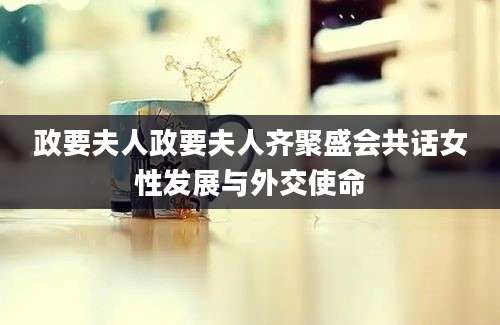 政要夫人政要夫人齐聚盛会共话女性发展与外交使命