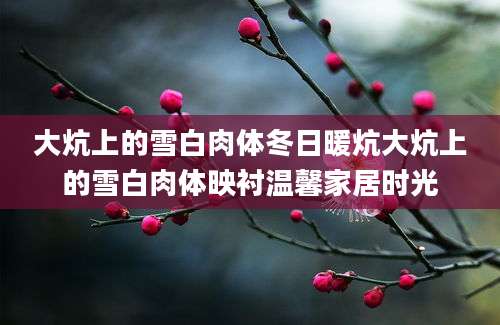 大炕上的雪白肉体冬日暖炕大炕上的雪白肉体映衬温馨家居时光