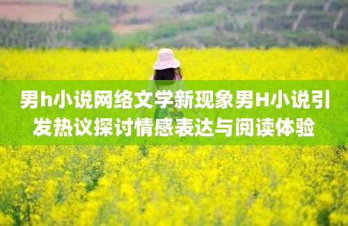 男h小说网络文学新现象男H小说引发热议探讨情感表达与阅读体验