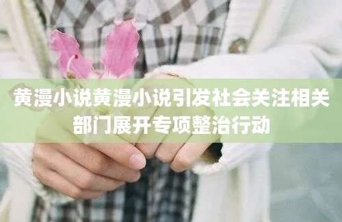 黄漫小说黄漫小说引发社会关注相关部门展开专项整治行动
