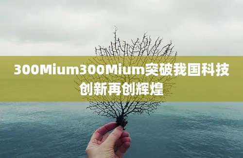 300Mium300Mium突破我国科技创新再创辉煌