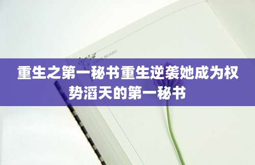 重生之第一秘书重生逆袭她成为权势滔天的第一秘书