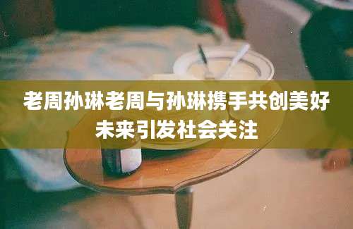 老周孙琳老周与孙琳携手共创美好未来引发社会关注