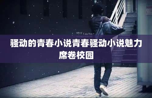 骚动的青春小说青春骚动小说魅力席卷校园