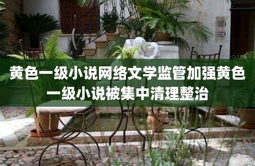 黄色一级小说网络文学监管加强黄色一级小说被集中清理整治