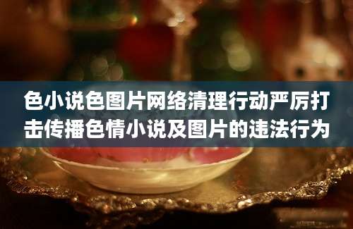 色小说色图片网络清理行动严厉打击传播色情小说及图片的违法行为
