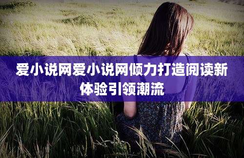 爱小说网爱小说网倾力打造阅读新体验引领潮流