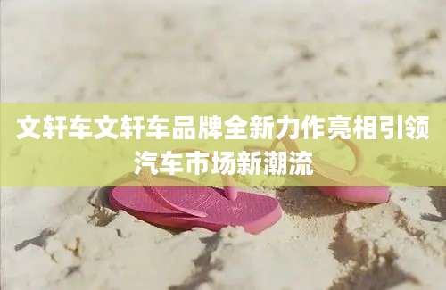 文轩车文轩车品牌全新力作亮相引领汽车市场新潮流
