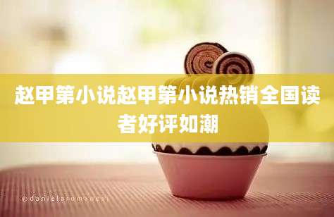 赵甲第小说赵甲第小说热销全国读者好评如潮