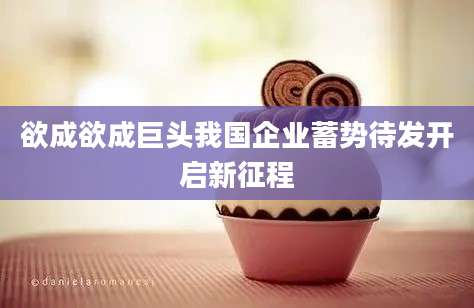 欲成欲成巨头我国企业蓄势待发开启新征程