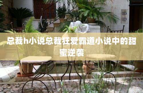 总裁h小说总裁狂爱霸道小说中的甜蜜逆袭