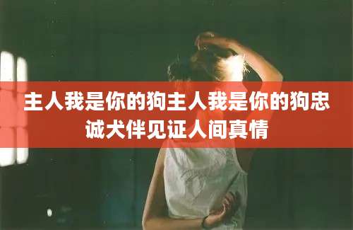 主人我是你的狗主人我是你的狗忠诚犬伴见证人间真情