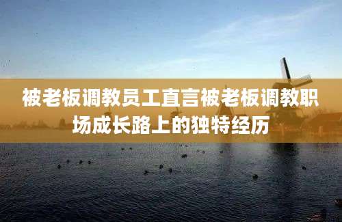 被老板调教员工直言被老板调教职场成长路上的独特经历