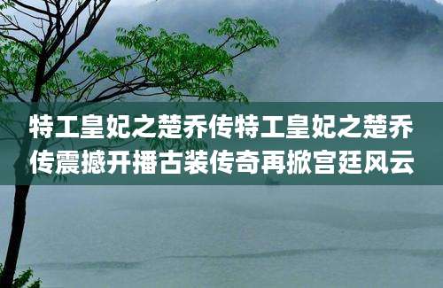 特工皇妃之楚乔传特工皇妃之楚乔传震撼开播古装传奇再掀宫廷风云