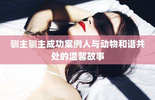驯主驯主成功案例人与动物和谐共处的温馨故事