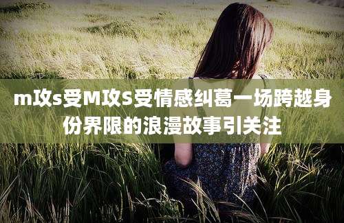 m攻s受M攻S受情感纠葛一场跨越身份界限的浪漫故事引关注