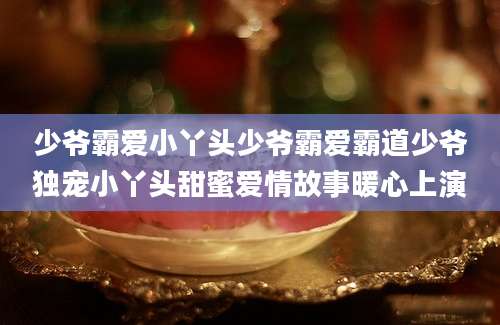 少爷霸爱小丫头少爷霸爱霸道少爷独宠小丫头甜蜜爱情故事暖心上演