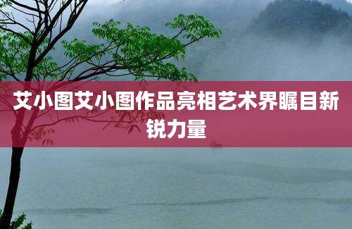 艾小图艾小图作品亮相艺术界瞩目新锐力量
