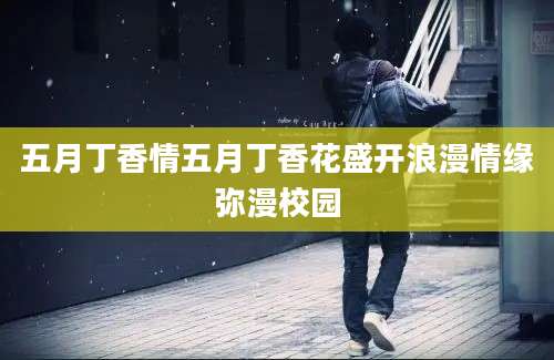 五月丁香情五月丁香花盛开浪漫情缘弥漫校园