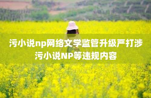 污小说np网络文学监管升级严打涉污小说NP等违规内容