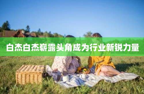 白杰白杰崭露头角成为行业新锐力量