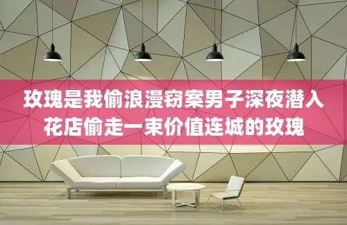 玫瑰是我偷浪漫窃案男子深夜潜入花店偷走一束价值连城的玫瑰