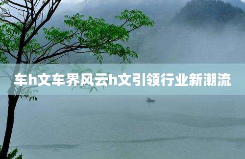 车h文车界风云h文引领行业新潮流