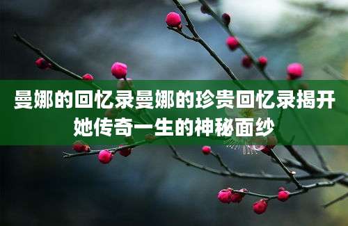 曼娜的回忆录曼娜的珍贵回忆录揭开她传奇一生的神秘面纱